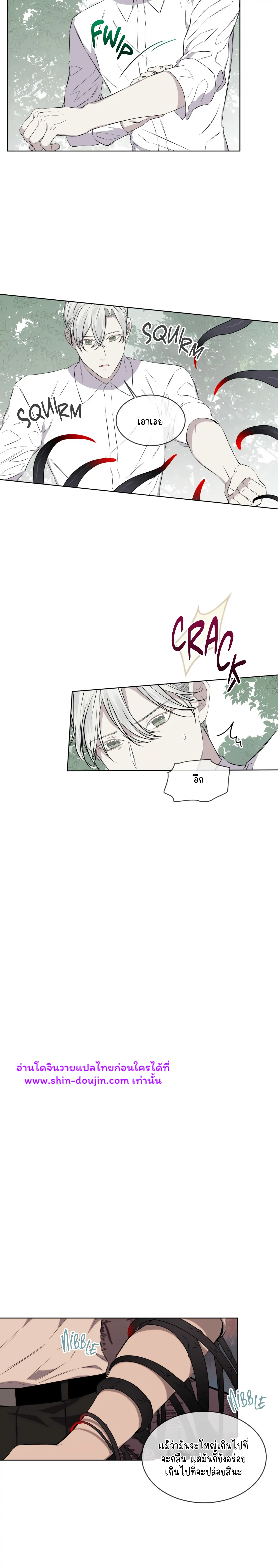 Forest Sea EP 14